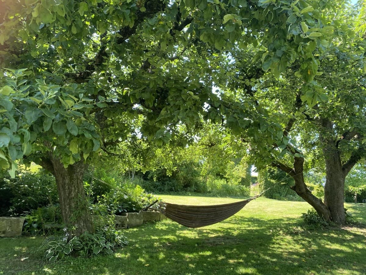 Kinder brauchen Erdung - Gestaltungsideen für einen Naturerlebnisraum – Wildniswerkstatt