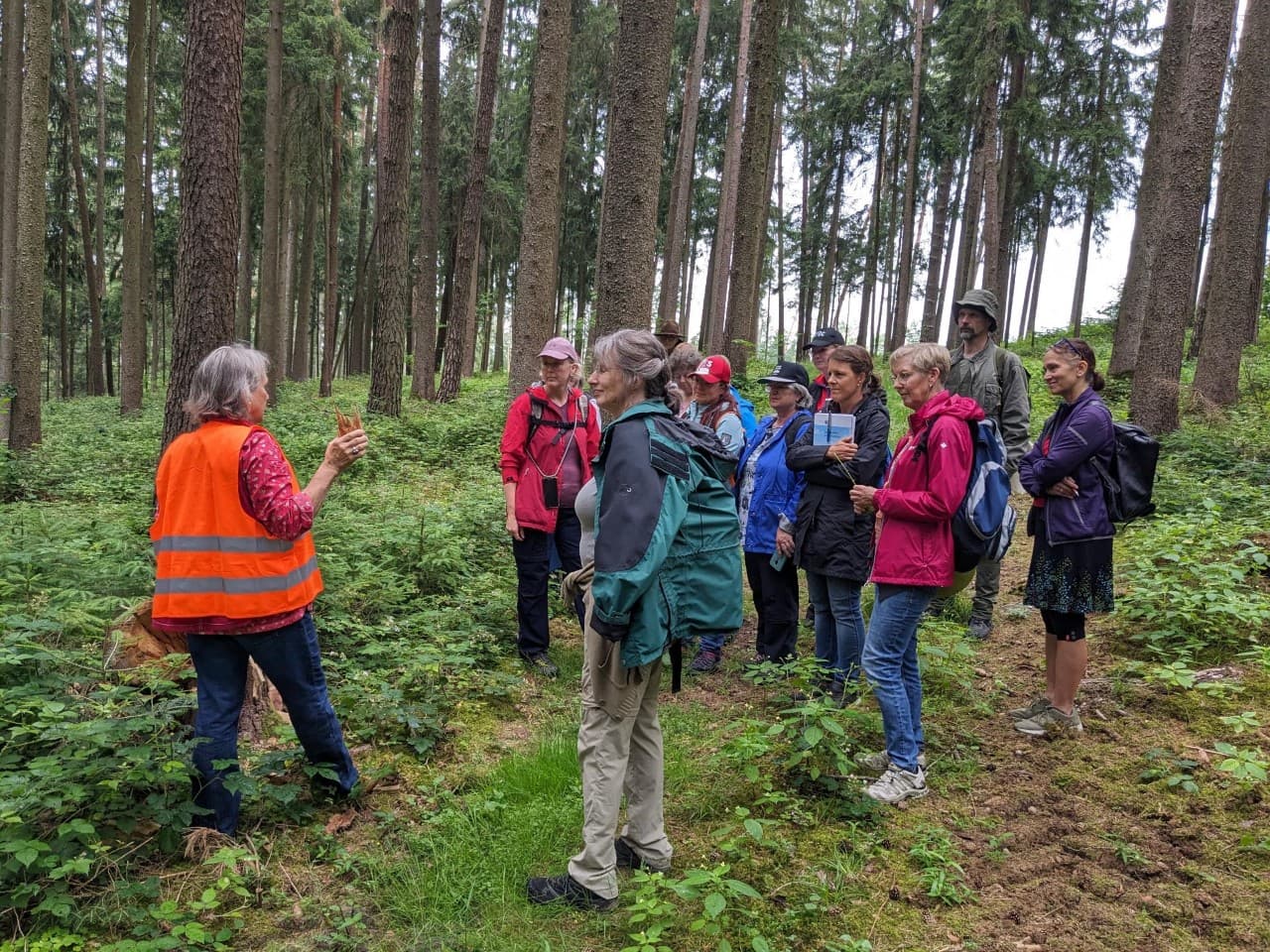 Einführung Waldpägagogik und Waldbaden 2023