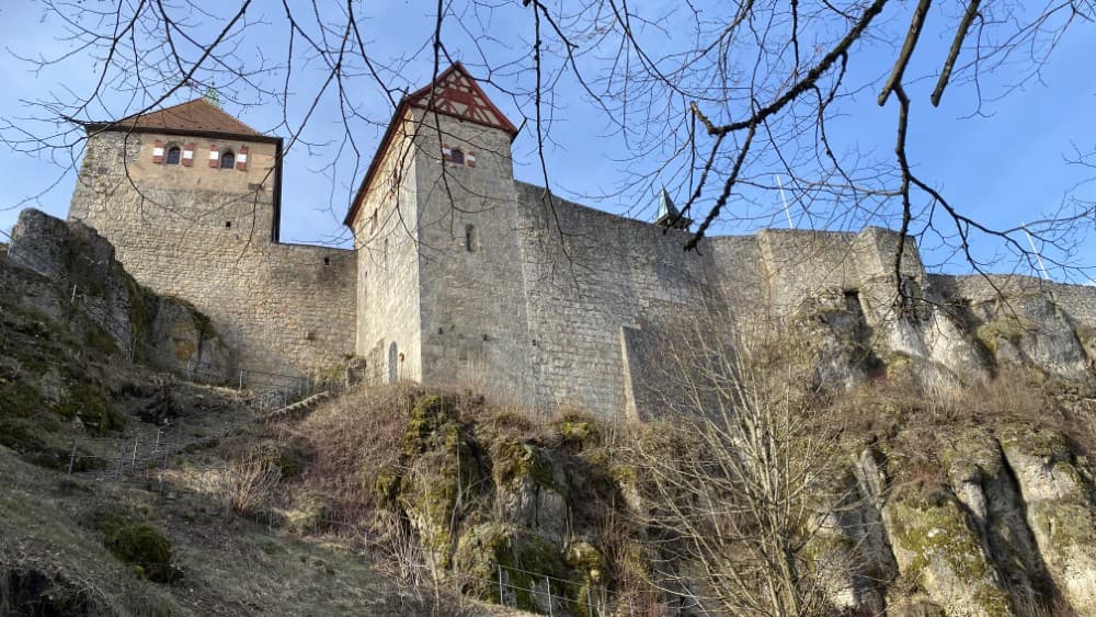 Amulette und Talismane aus dem Pflanzenreich