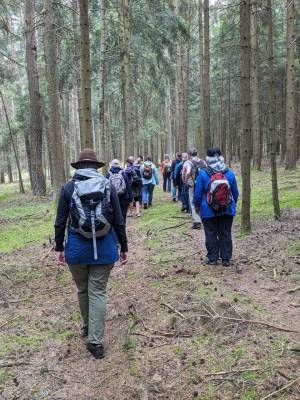 Fortbildung - Einführung Waldpägagogik und Waldbaden