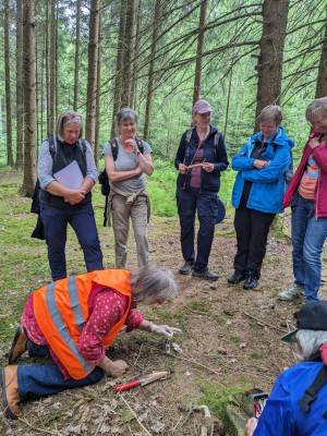 Fortbildung - Einführung Waldpägagogik und Waldbaden