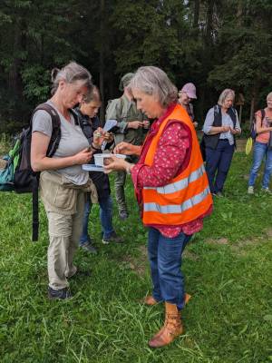Fortbildung - Einführung Waldpägagogik und Waldbaden
