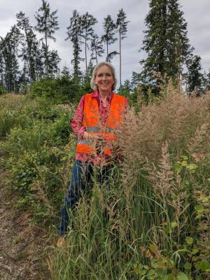 Fortbildung - Einführung Waldpägagogik und Waldbaden