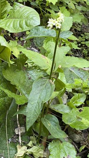 LEHRFAHRT - 2024 Slowakei – Hohe Tatra