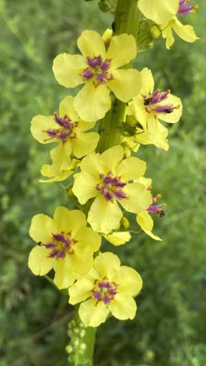 LEHRFAHRT - 2024 Slowakei – Hohe Tatra