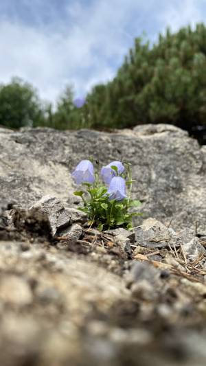 LEHRFAHRT - 2024 Slowakei – Hohe Tatra