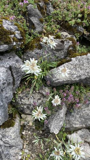 LEHRFAHRT - 2024 Slowakei – Hohe Tatra