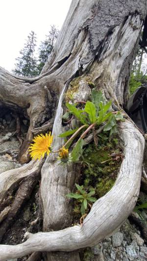 LEHRFAHRT - 2024 Slowakei – Hohe Tatra