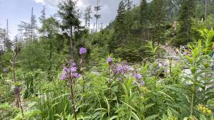 LEHRFAHRT - 2024 Slowakei – Hohe Tatra