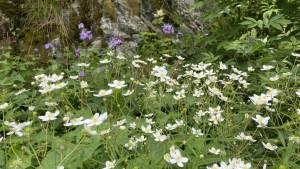 LEHRFAHRT - 2024 Slowakei – Hohe Tatra