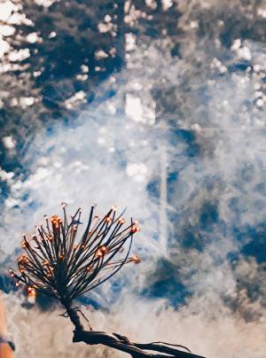 LEHRFAHRT - 2024 Slowakei – Hohe Tatra