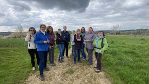 Orchideenwanderung in der Oberpfalz