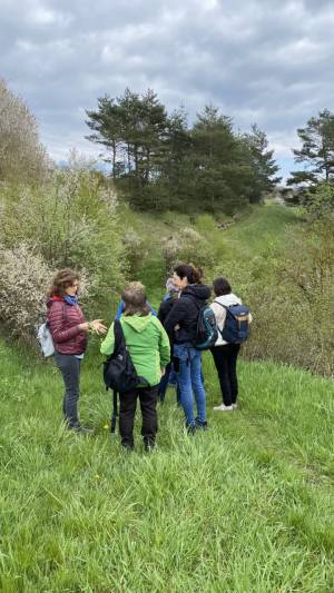 Orchideenwanderung in der Oberpfalz