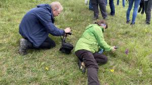 Orchideenwanderung in der Oberpfalz