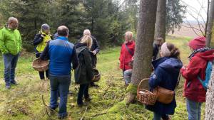 Pilzexkursion bei Schöfbach, LKR SR