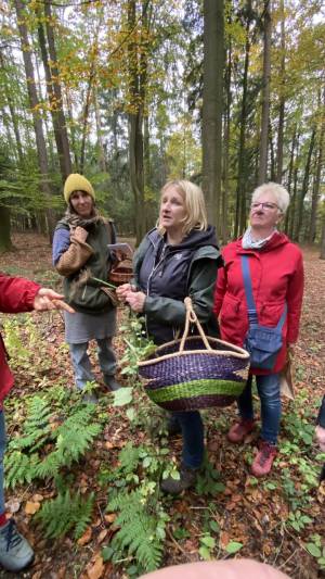 Pilzexkursion bei Schöfbach, LKR SR