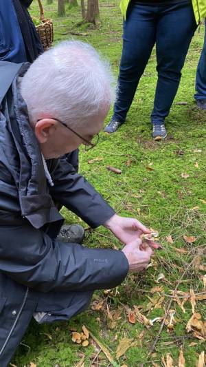 Pilzexkursion bei Schöfbach, LKR SR