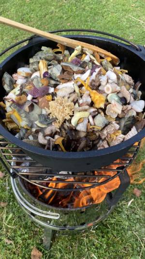 Pilzexkursion bei Schöfbach, LKR SR