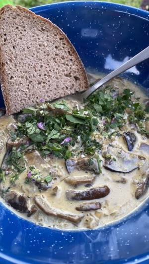 Pilzexkursion bei Schöfbach, LKR SR