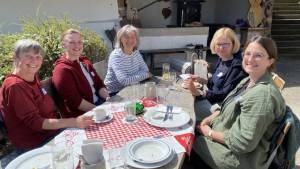 Fortbildung - Die Mistel – Mythen, Sagen, Medizin