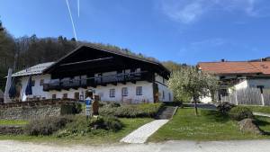 Fortbildung - Die Mistel – Mythen, Sagen, Medizin