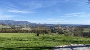 Fortbildung - Die Mistel – Mythen, Sagen, Medizin