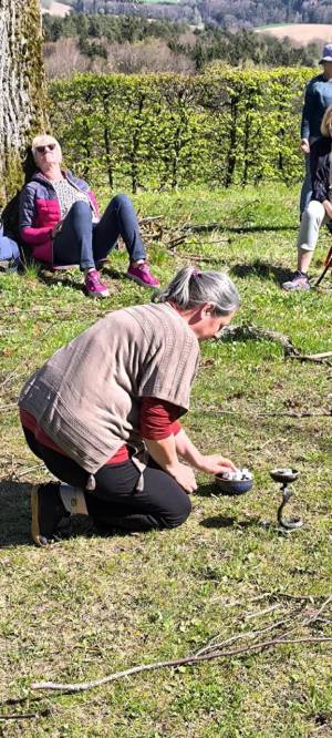 Fortbildung - Die Mistel – Mythen, Sagen, Medizin