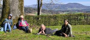 Fortbildung - Die Mistel – Mythen, Sagen, Medizin