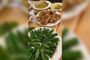 Fortbildung - Rindenmedizin - die Apotheke der Knochen­richter, Holzknechte und Hebammen