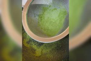 Fortbildung - Rindenmedizin - die Apotheke der Knochen­richter, Holzknechte und Hebammen