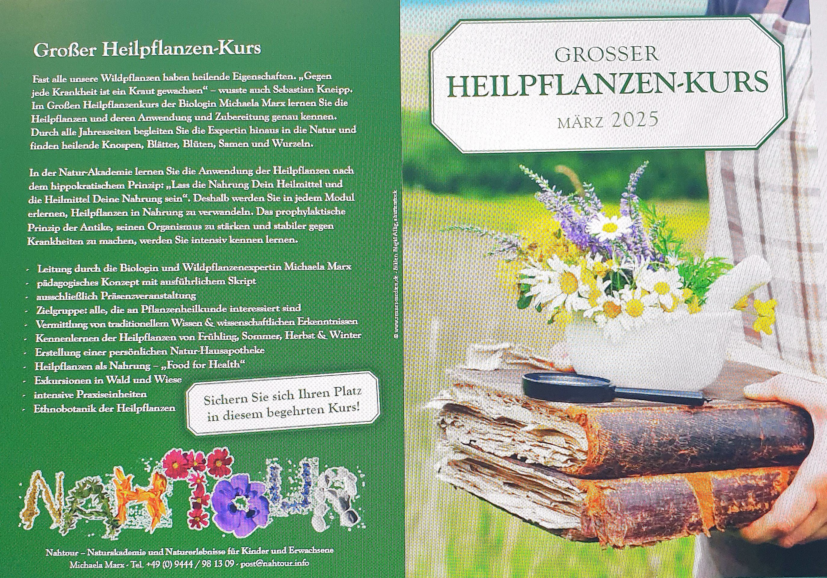 Flyer Grosser Heilpflanzenkurs